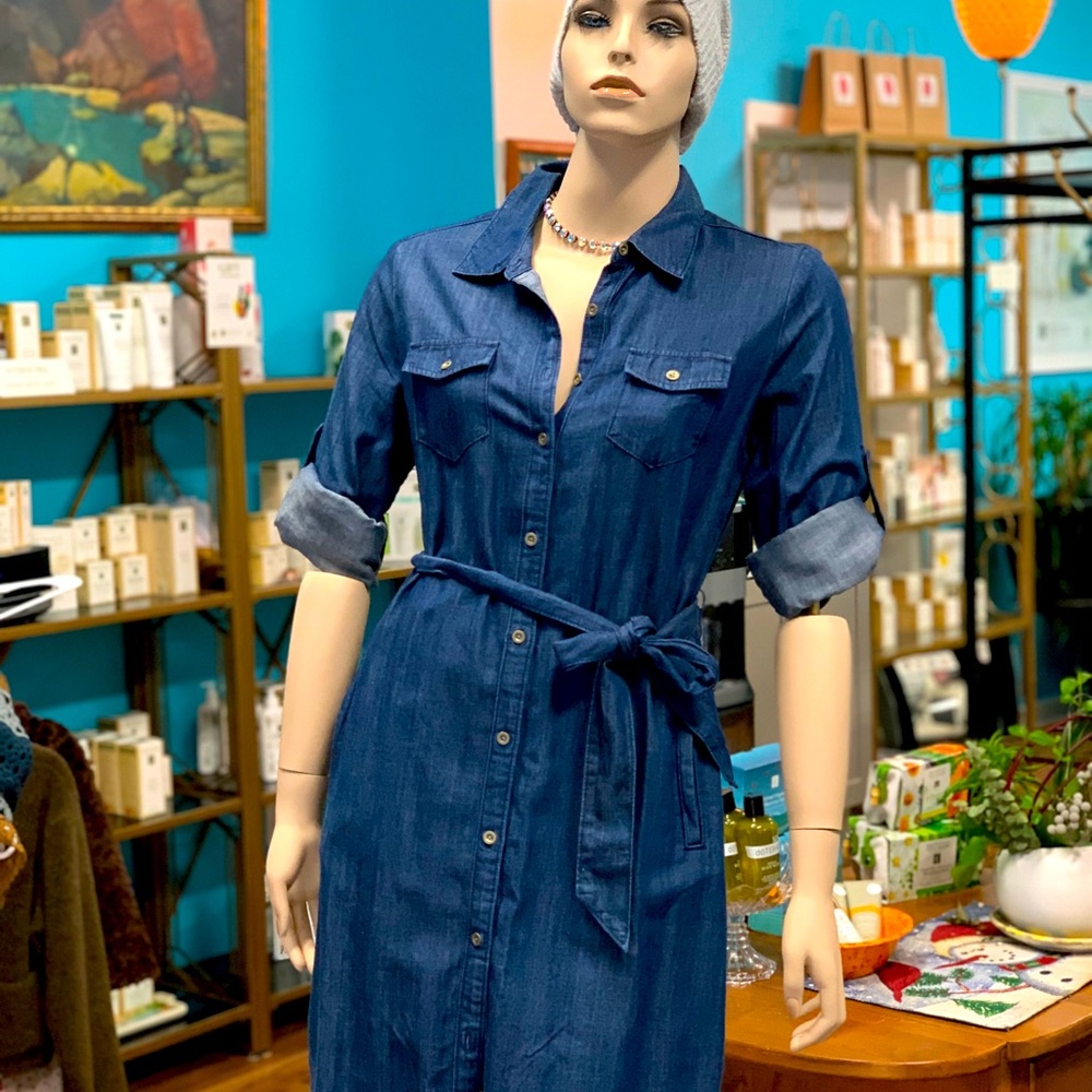 Banana Republic denim dress.